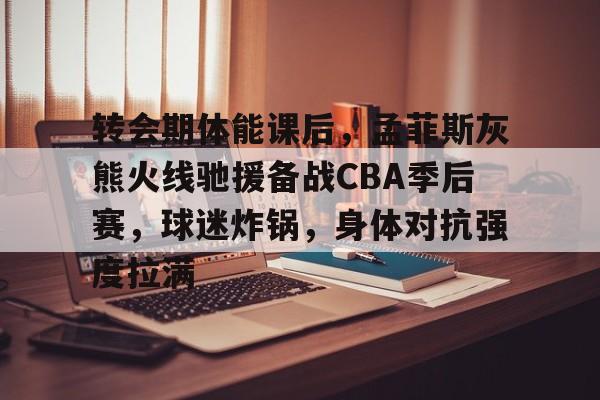 转会期体能课后，孟菲斯灰熊火线驰援备战CBA季后赛，球迷炸锅，身体对抗强度拉满的简单介绍-爱游戏app